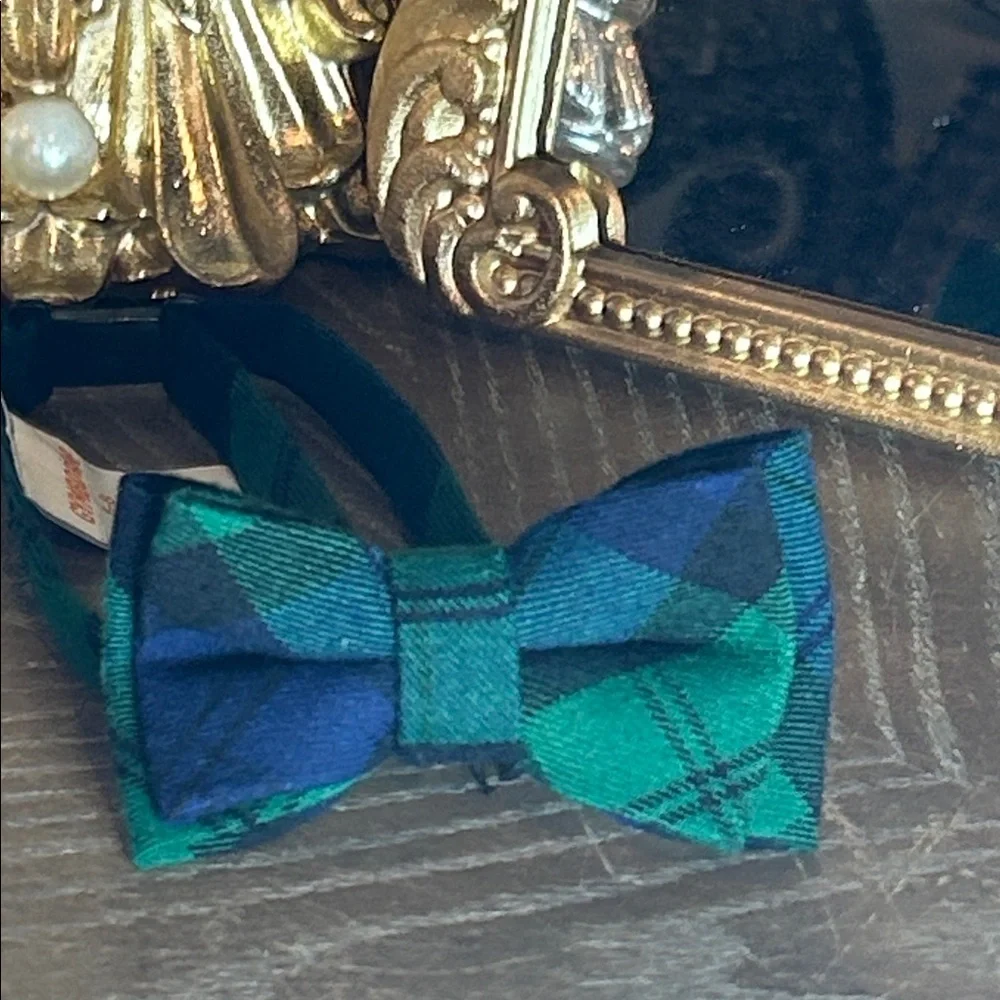 Little Boys Navy Blue & Green Plaid Gymboree Bow Necktie